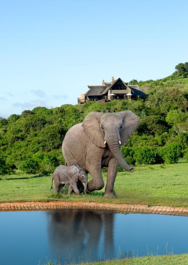 Hopewell Private Game Reserve Buyskloof Екстер'єр фото