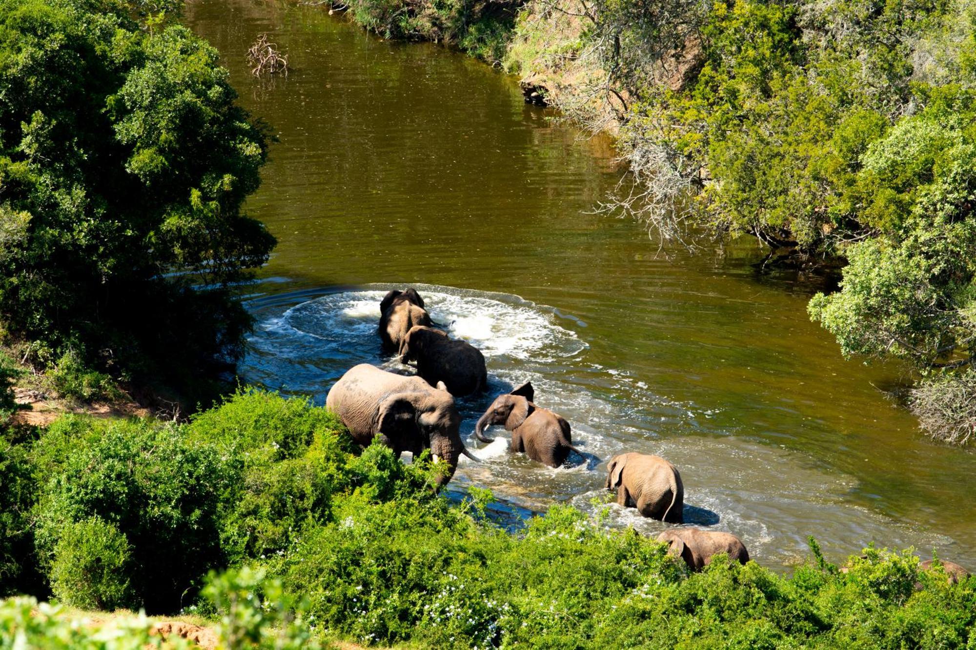 Hopewell Private Game Reserve Buyskloof Екстер'єр фото